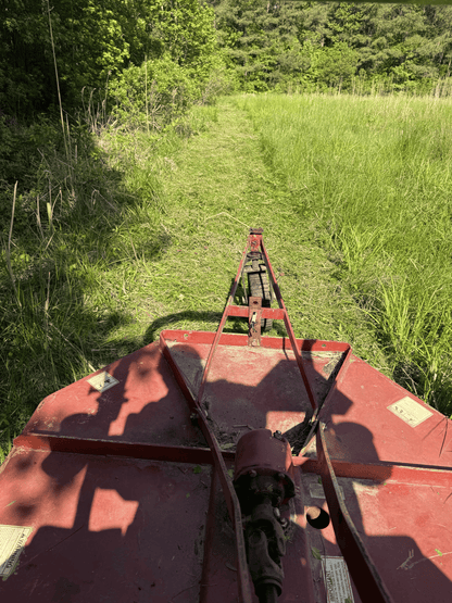 Bush Hogging Service